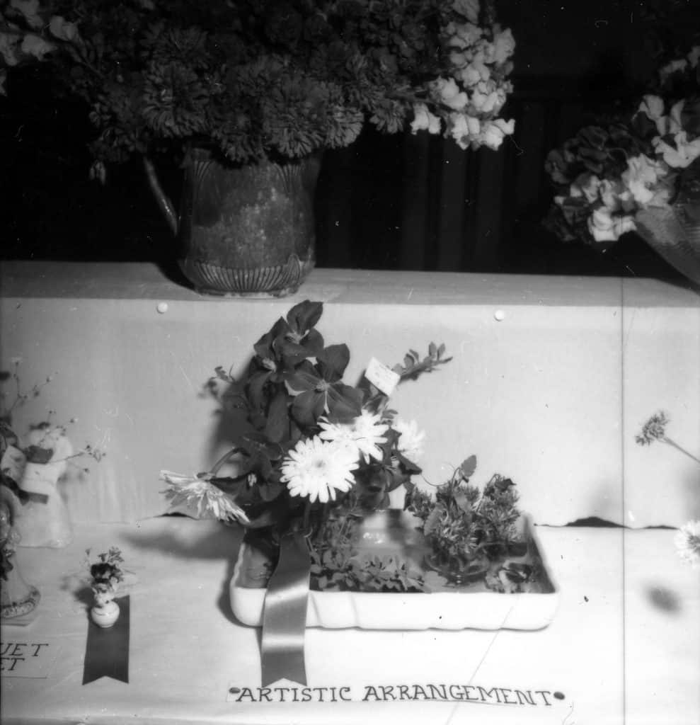 From the archives summer flower show